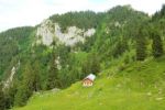 2014-07-05_Laengental-N-Hochweg (895). JPG